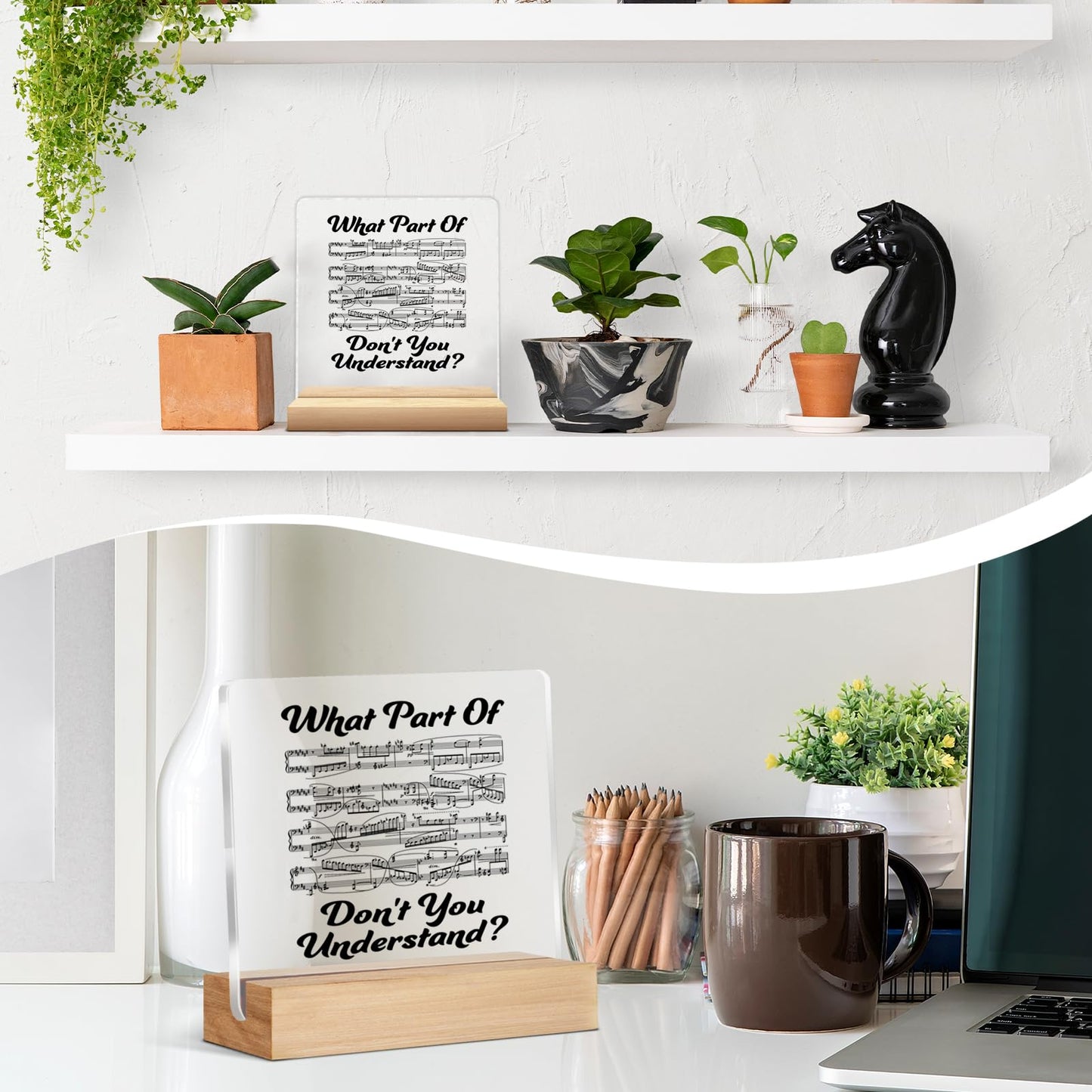 Funny Music Teacher Gifts, Humor Music Gifts for Band Director Musician Pianist, What Part of Don't You Understand Acrylic Plaque Desk Signs Decor for Home Office