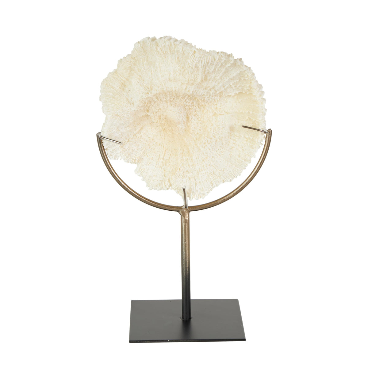 Deco 79 Polystone Coral Decorative Sculpture Textured Home Decor Statue with Bronze Stand, Accent Figurine 7" x 5" x 12", Light Blue