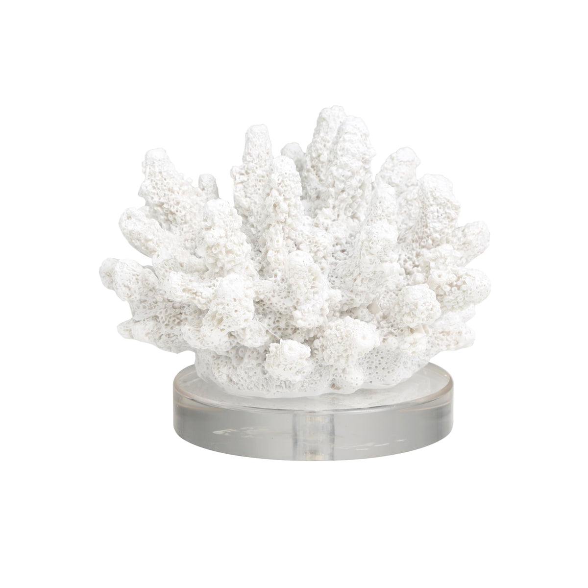 Deco 79 Polystone Coral Decorative Sculpture Small Textured Home Decor Statue with Clear Acrylic Base, Accent Figurine 6" x 5" x 4", White