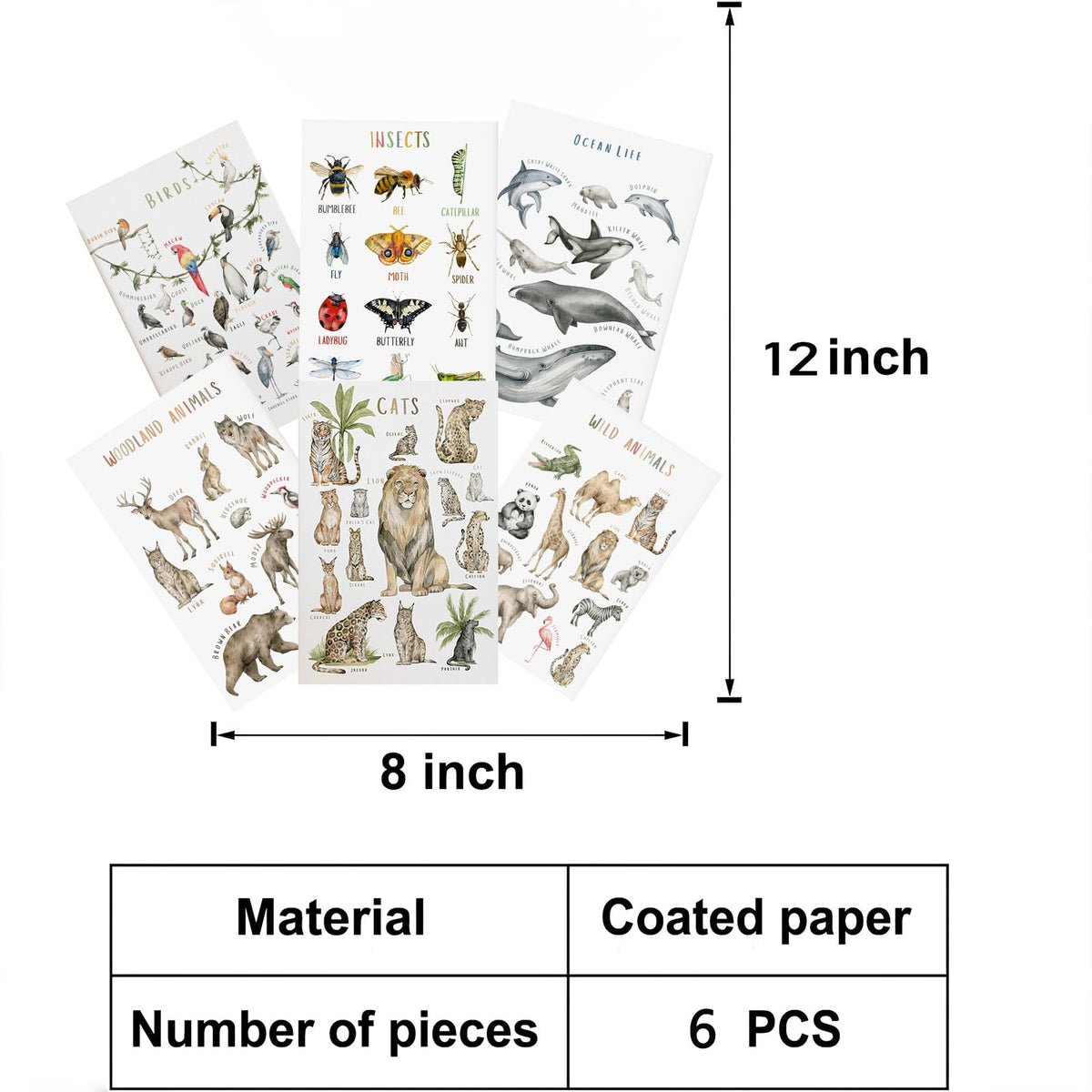BOLNEY Set of 6 Educational Posters - Kids Wall Art: Wild Animals, Woodland Animals, Birds, Insects, Ocean Life (No Frame, 20x30cm-6pcs)