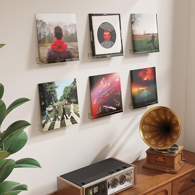 Lifewit Narrow Floating Shelves