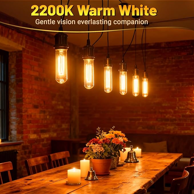 T10 Tubular Light Bulbs 40 Watt Incandescent Light Bulb, T10 Bulb, 120V 40W
