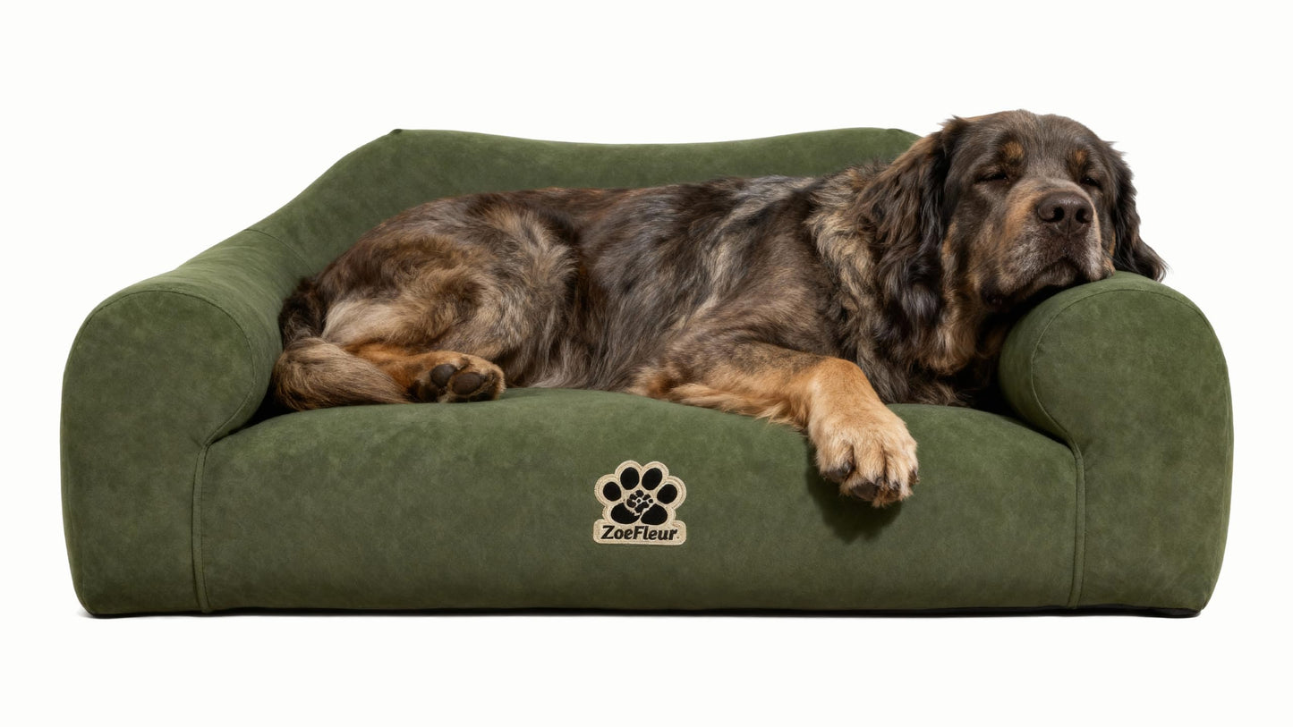 ZoeFleur 2-in-1 Human & Pet Shared Dog Sofa, Solid Pine Wood Frame with High Resilience Foam, Indoor Pet Furniture(Dark Green)