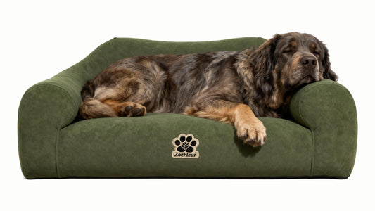ZoeFleur 2-in-1 Human & Pet Shared Dog Sofa, Solid Pine Wood Frame with High Resilience Foam, Indoor Pet Furniture(Dark Green)