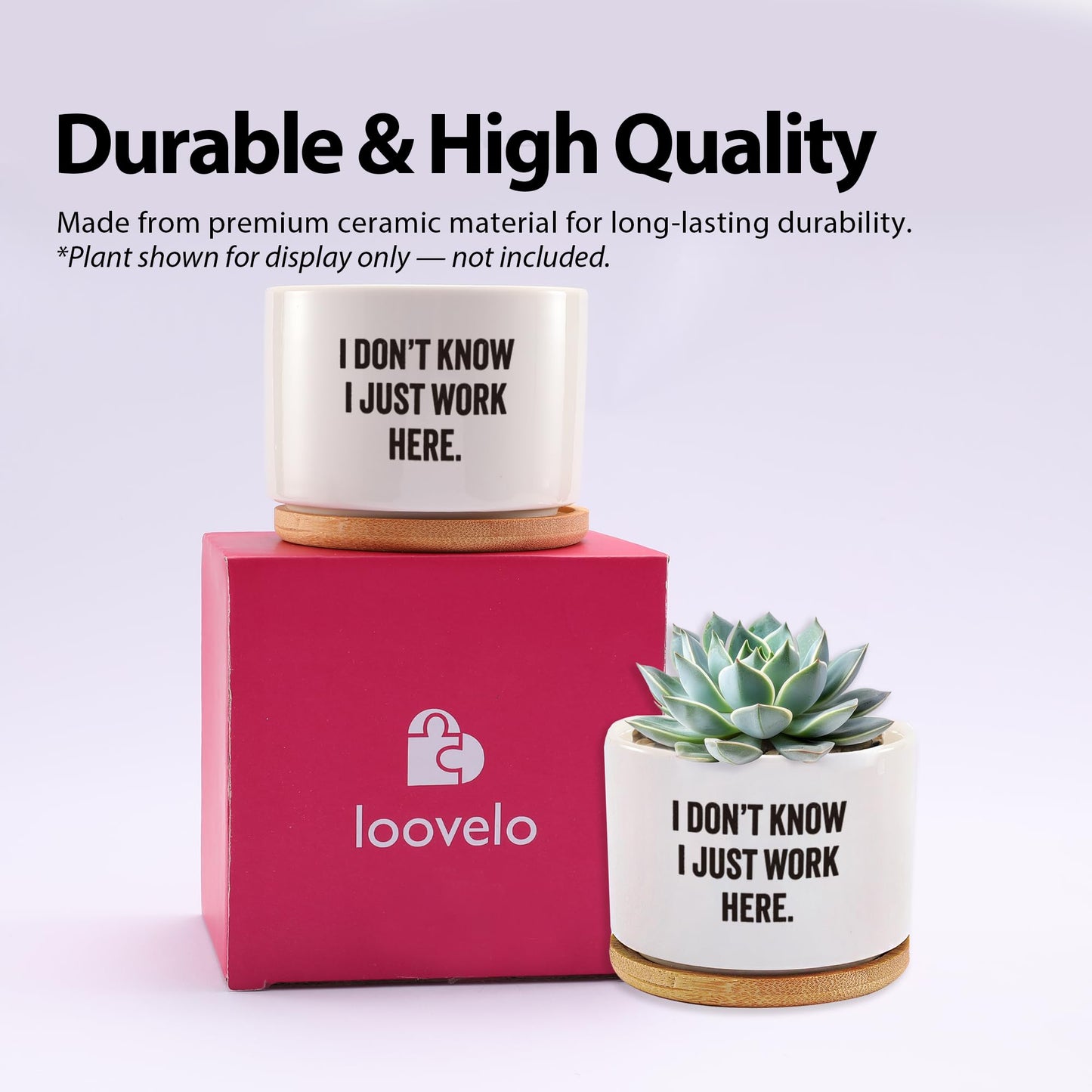 I Don’t Know I Just Work Here Ceramic Succulent Plant Pot with Bamboo Tray Round Sarcastic Gifts for Coworkers Officemates Office Gifts Home Office Decor Plant Lover 3.5 Inch White (No Plants)