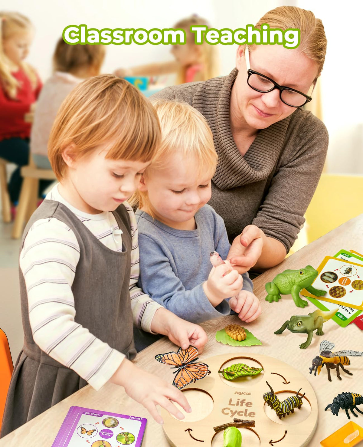 JoyCat Life Cycle Learning Education Toys, Insect Caterpillar to Butterfly kit, Ladybug, Bee, Tadpole to Frog Kit Life Cycle Toys for Kids, Preschool Learning Activities for Age 3 4 5 6 7 8