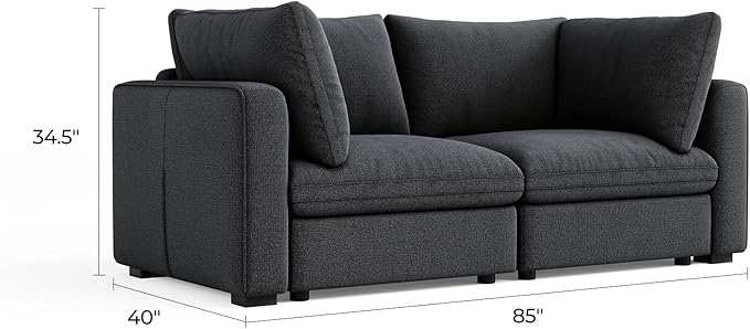 LINSY HOME Modern 2-Seater Sofa, Customizable Living Room Furniture