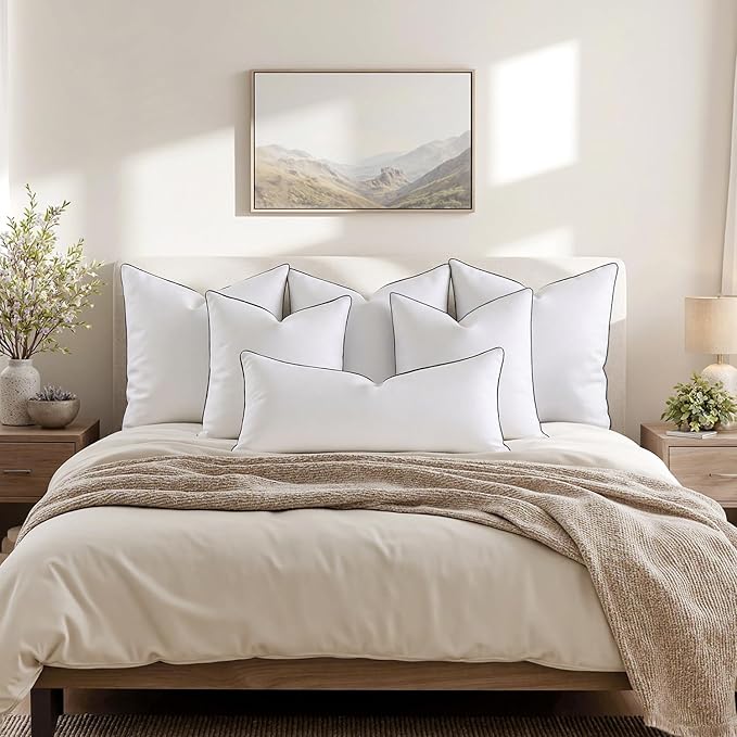 MIULEE Goose Feather Down 22x22 Pillow Insert Set of 2