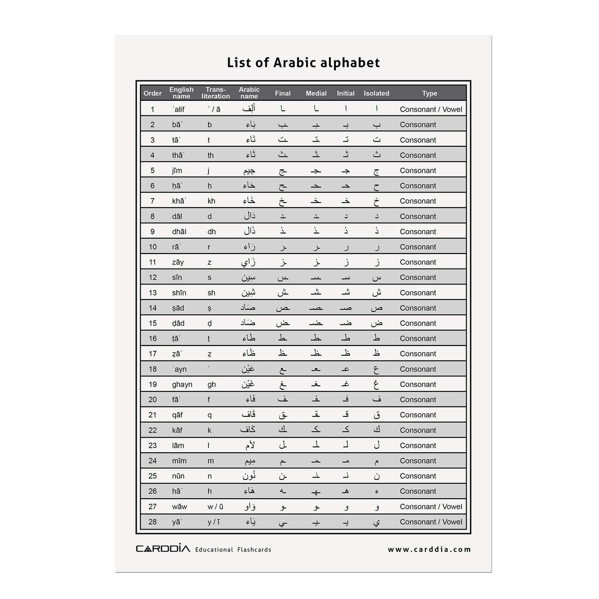CARDDIA | Arabic Alphabet Educational Flashcards | Includes Consonants, Vowels, Diacritics and Numerals | Ideal for Arabic Language Beginners