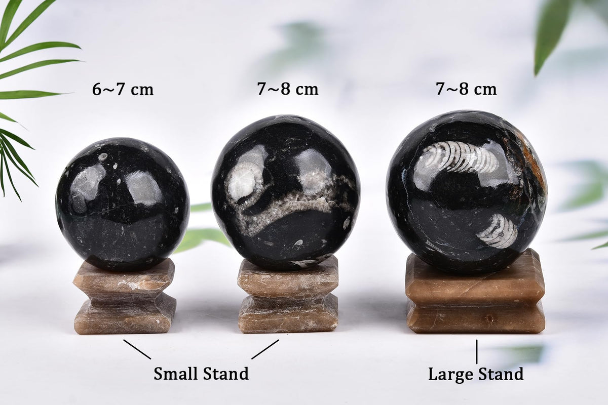 AMOYSTONE Large Orthoceras Fossil Divination Sphere for Collector Gift