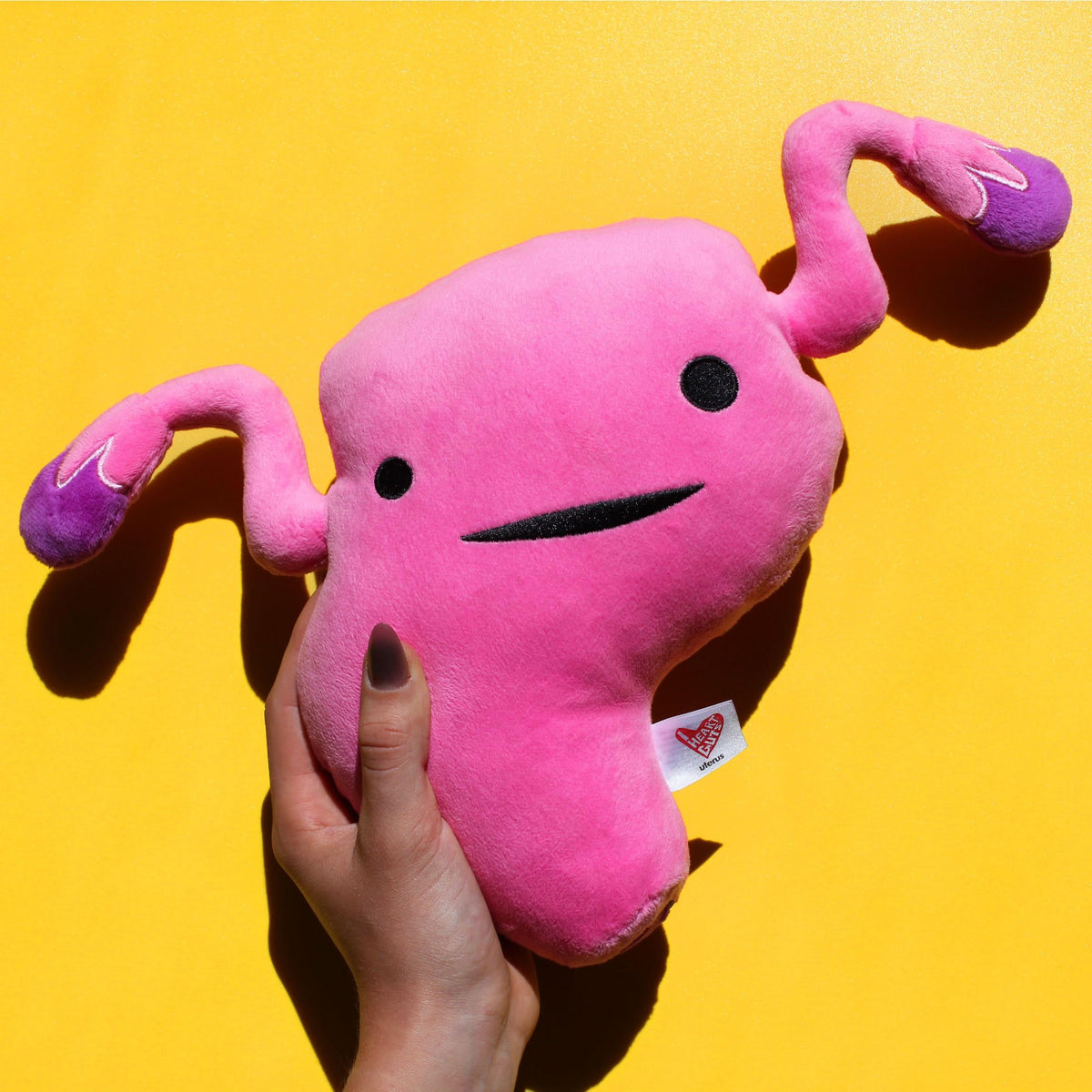 I Heart Guts - The Whole She-Bang Anatomy Bundle - Uterus Ovary Clitoris Vajayjay Placenta Female Anatomy OBGYN Medical Student Menstrual Education