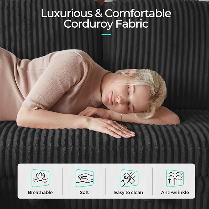 LINSY HOME Loveseat Sofa with Pull Out Couch Chaise: 2-in-1 Convertible 2