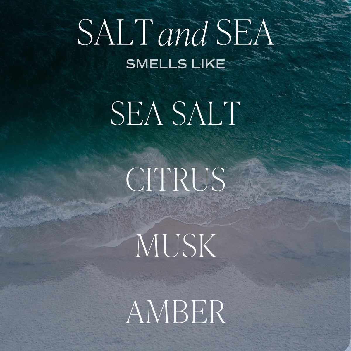 Sweet Water Decor Salt and Sea Scented Soy Candles – Sea Salt, Citrus, Musk, Amber – Fresh Coastal Aroma – 50 Hour Burn – 12oz Tinted Glass Jar for Home Decor and Bedroom Decor