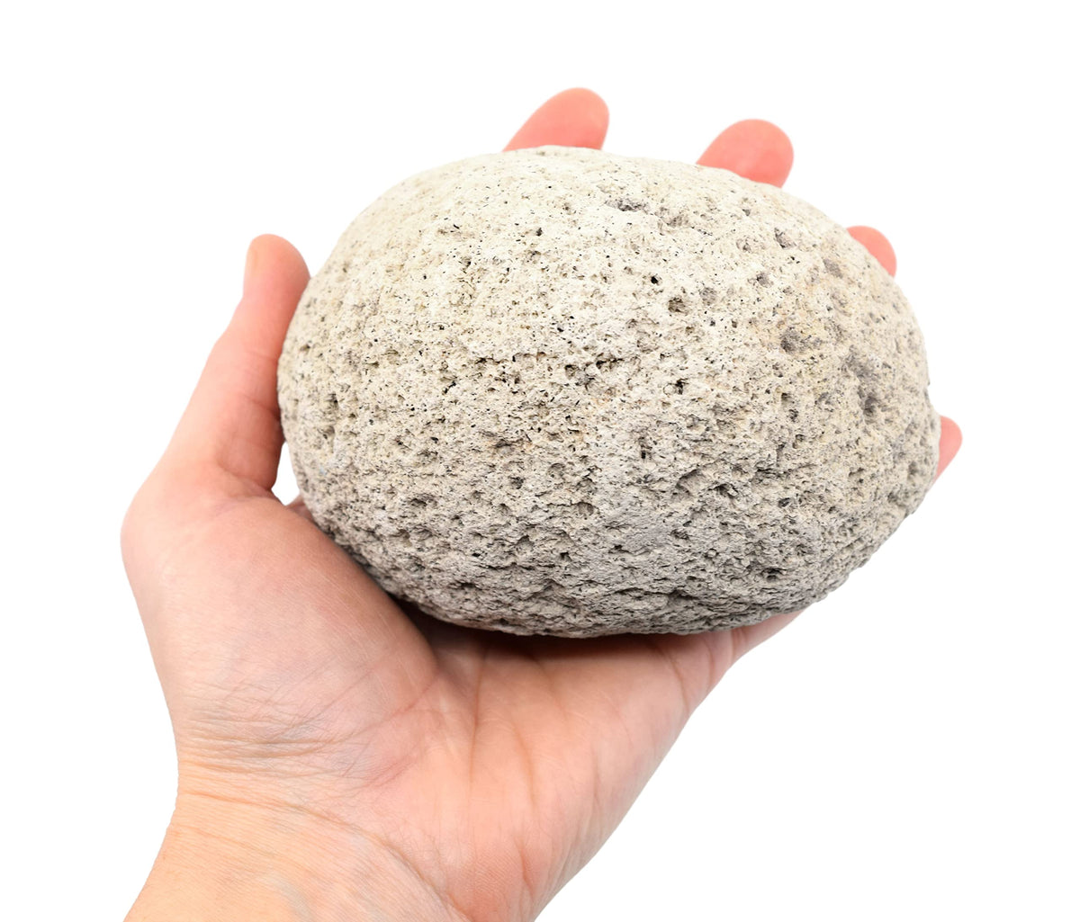 EISCO Raw Pumice, Igneous Rock Specimen - Hand Sample - Approx. 3" - Geologist Selected & Hand Processed - Great for Science Classrooms
