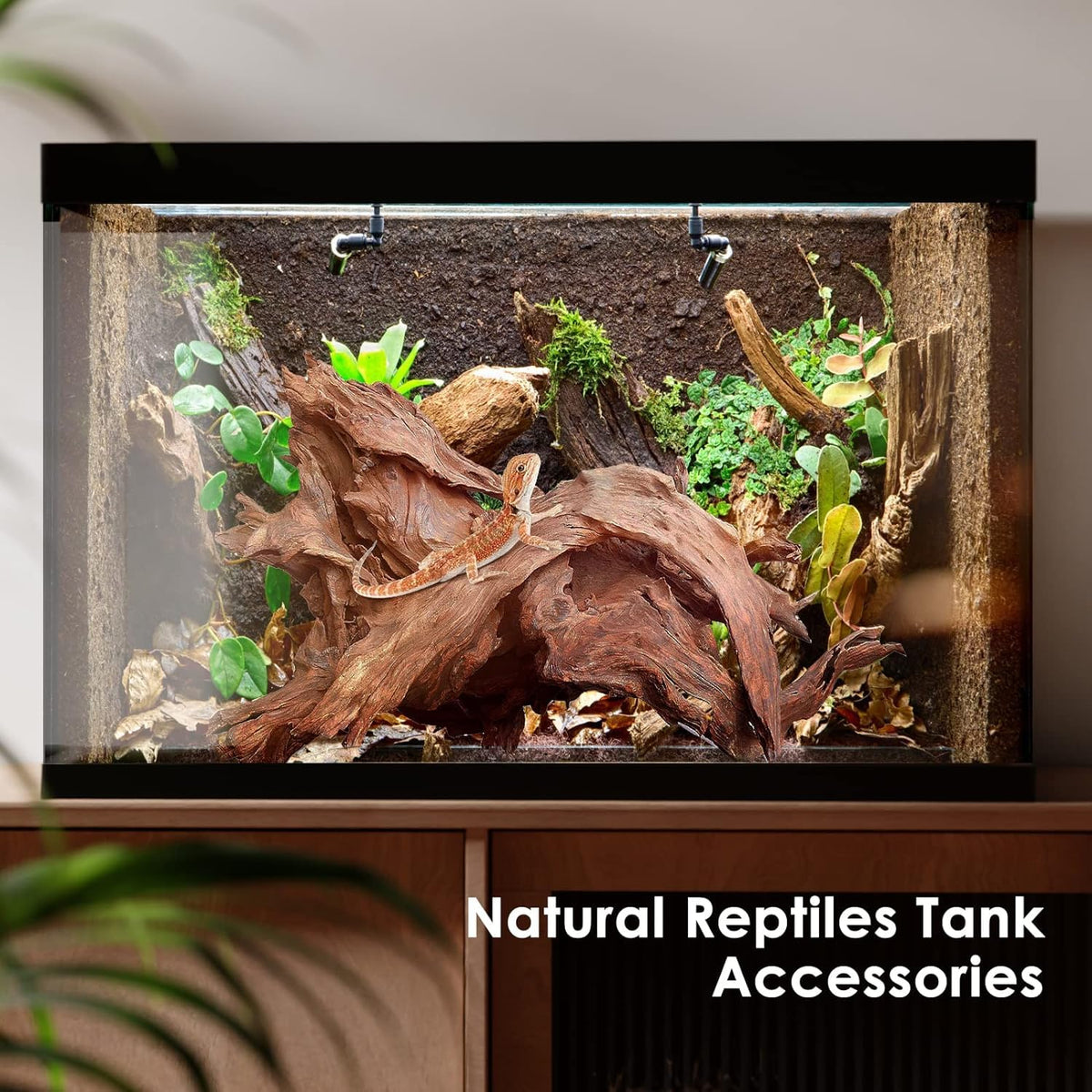 Jorewood Natural Aquarium Driftwood for Fish Tanks & Reptile Terrariums – Safe Fish Tank Decorations, Unique Twisted Branches 3-Piece 7-11 Inch Low Tannin, Easy to Sink