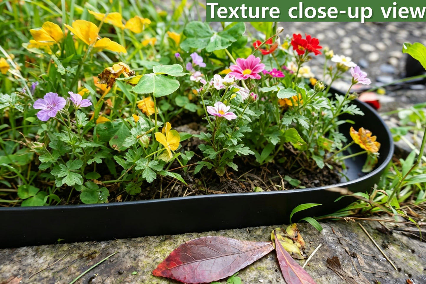 A ANLEOLIFE 20FT Plastic Landscape Edging, 2" Tall No-Dig Black Garden Border with 24 Spikes, Heavy-Duty Flexible Lawn Coil, Grass Barrier & Easy Install