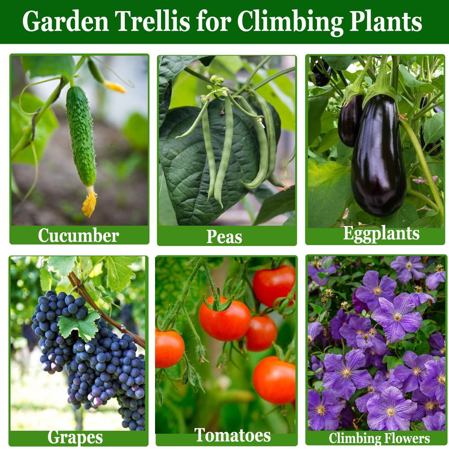 U-Shape Cucumber Trellis for Raised Bed, Garden Trellis for Climbing Plants Outdoor, Metal Arch Plant Support, Vegetables Trellis for Squash Grape Pea Bean Vines Flower 47x15.7in