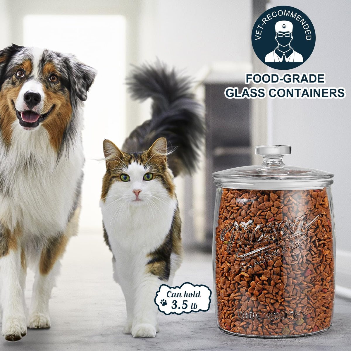 Dwbligt 1 Gallon Glass Cookie Jar with Airtight Lid, Wide Mouth Mason Jar for Pantry & Laundry Room Organization, Large Apothecary Jars for Sugar, Candy, Rice, Dog Treat & Food Storage Jar– Set of 1