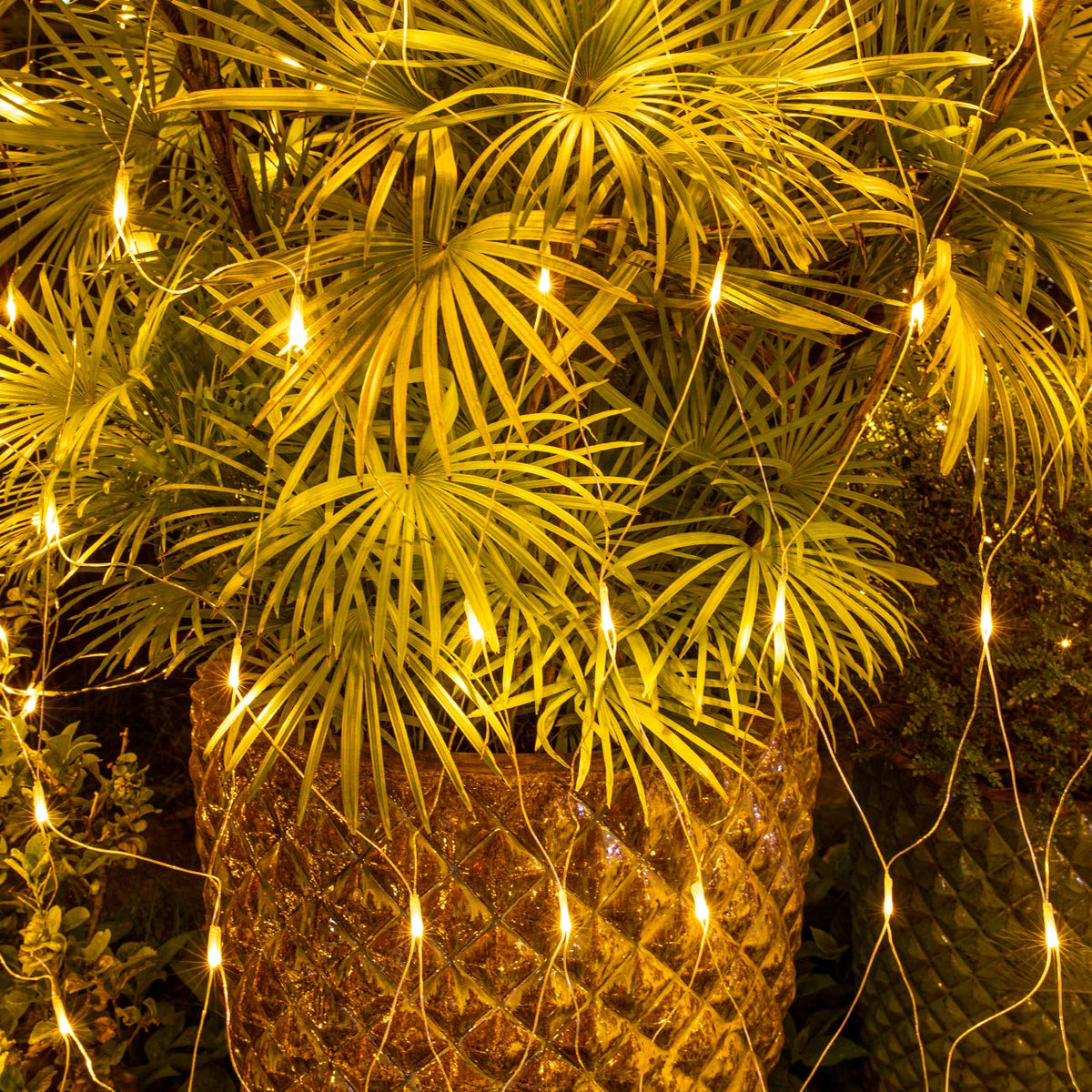 AWQ 200 LED 9.8ft x 6.6ft String Lights Net Mesh Christmas Lights 8 Modes for Christmas Wedding Party Home Garden Lawn Bushes Indoor Outdoor Decor (9.8ft x 6.6ft, Warm White)