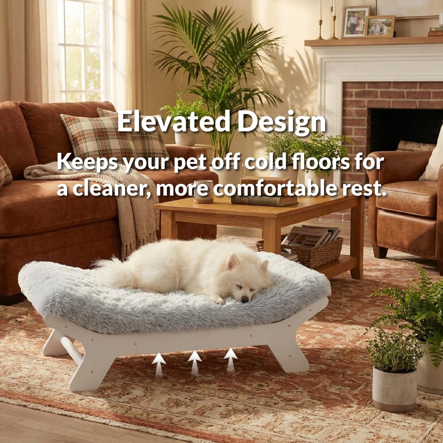 Muihood Wood Elevated Dog Bed Frame and Egg Crate Foam Mattress, Luxurious Suitable for Pets Up to 60 lbs, Walnut Grain Pattern, M