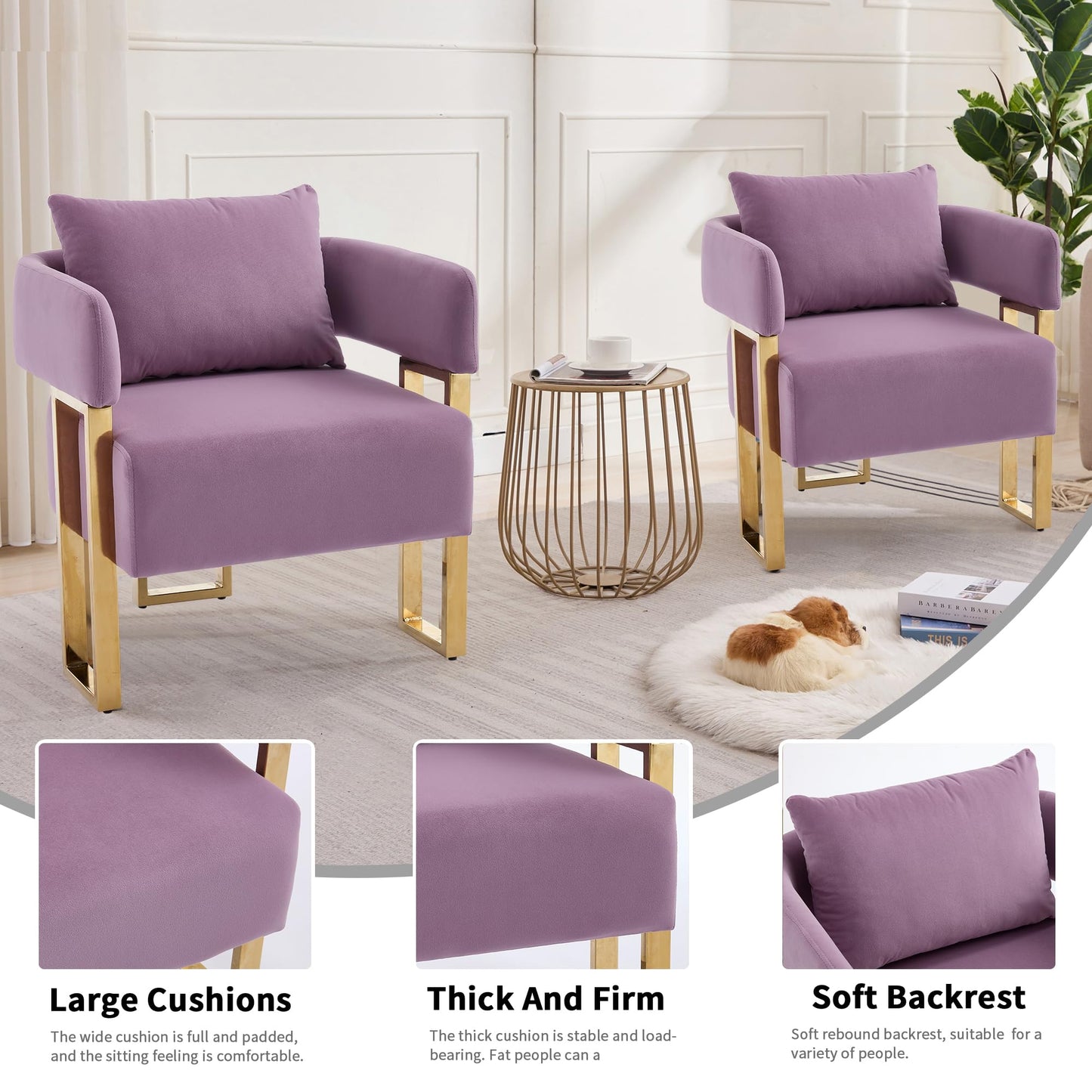 YITAI Modern Accent Chairs no Wheels, Living Room Side Chairs with Golden Metal Legs, Barrel Soft Velvet Upholstered Reading Armchairs for OfficeStudyReception RoomBedroomLounge,Purple Set of 2