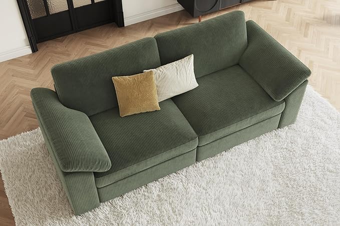 EASE MOOSE Comfty 2 Seat Couch, FSC Certified Modern Deep Seat Sectional Modular