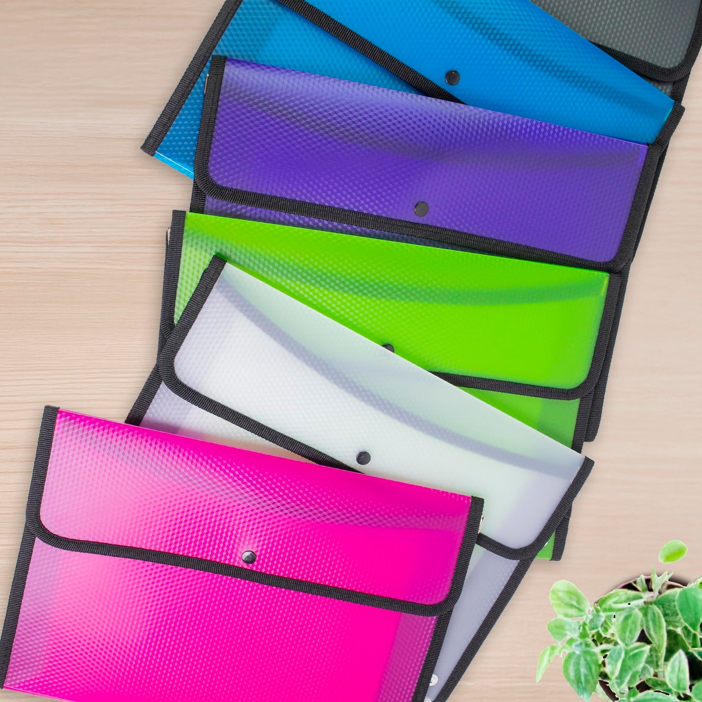 BAZIC Products Square Flap Document Holder, A4/Letter Size, Flexible Poly Shell, for School Office Documents, Case of 72