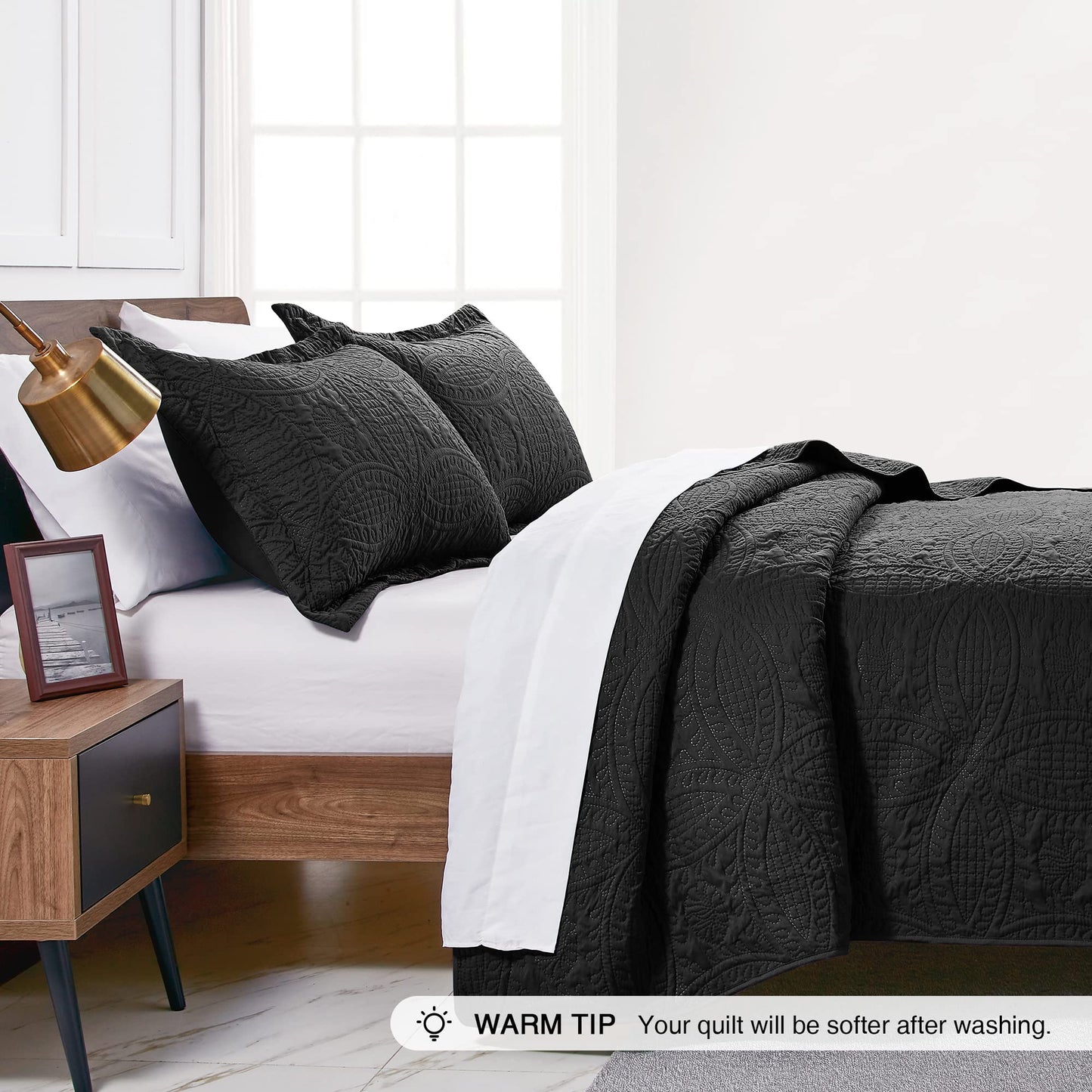 Love's cabin Quilts for Queen Bed Black Bedspreads - Soft Bed Fall Lightweight Bedspread Comforter - Modern Style Coin Pattern Coverlet for All Season - 3 Pieces (1 Quilt, 2 Pillow Shams)