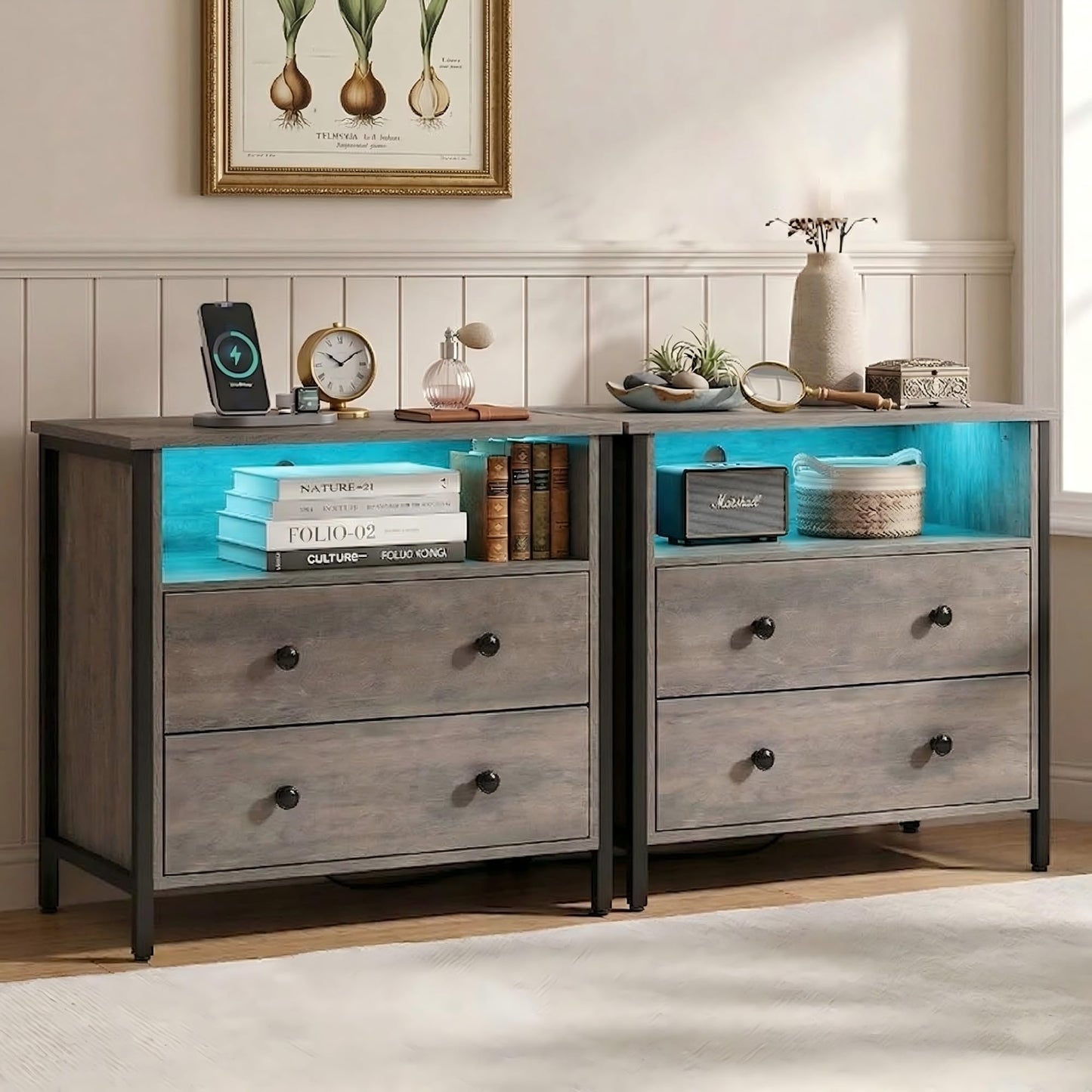 Tykacna 27 Inch Wide Night Stand, Lrage Wood Night Stand Set 2 with 2 Drawers, LED Nightstand with Charging Station and Adjustable Drawer, Bedside Table for Living Room/Bedroom/Study/Office, Gray.