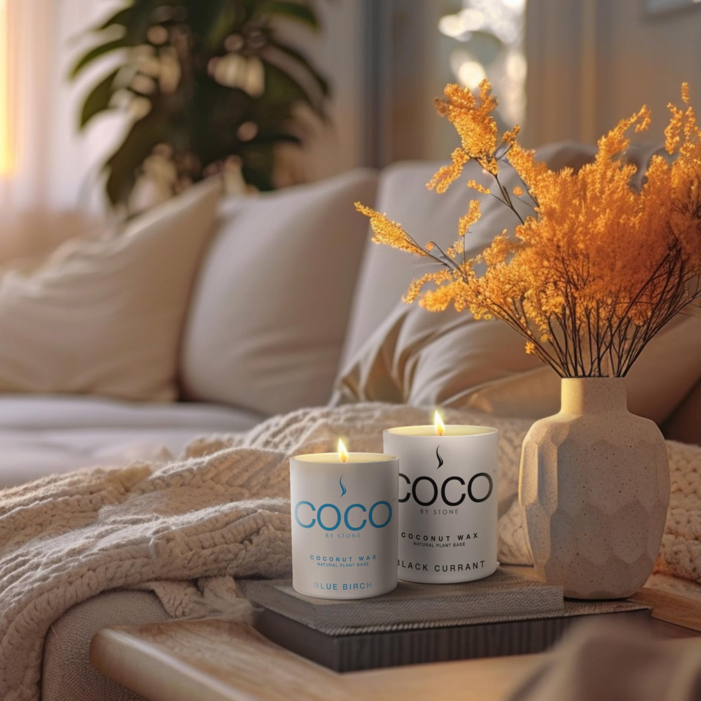 COCO by Stone 6.5oz Candle, Coconut Apricot Wax Candle for Home (Amber), Home Fragrance Product, 1-Wick Candle, Enhances Indoor Aroma, Vegan & Cruelty-Free, Clean Burning, Hand-Poured