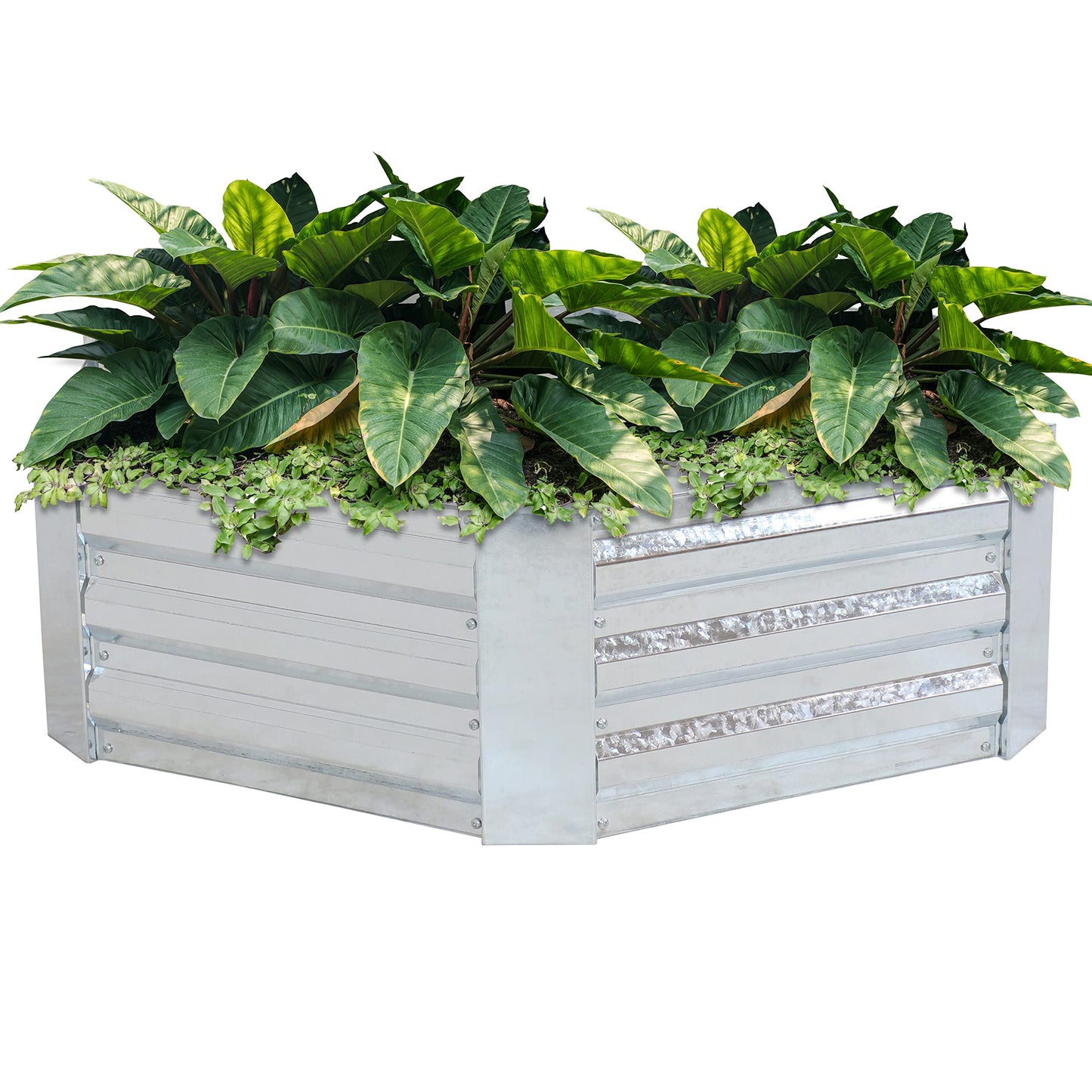 Sunnydaze Galvanized Raised Garden Bed Kit - 4x3x1 ft Outdoor Raised Garden Bed - Metal Planter Box for Vegetables, Flowers, Herbs - Silver - Hexagon