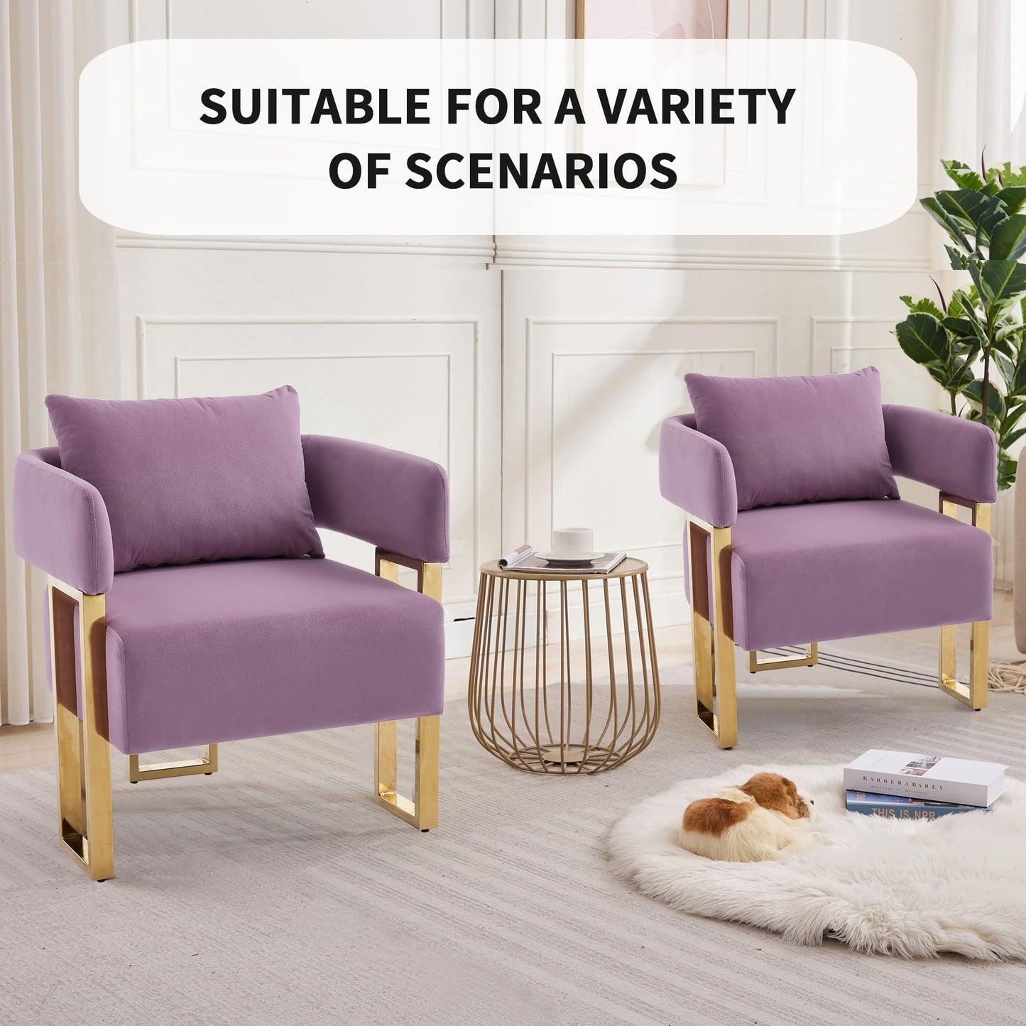 YITAI Modern Accent Chairs no Wheels, Living Room Side Chairs with Golden Metal Legs, Barrel Soft Velvet Upholstered Reading Armchairs for OfficeStudyReception RoomBedroomLounge,Purple Set of 2