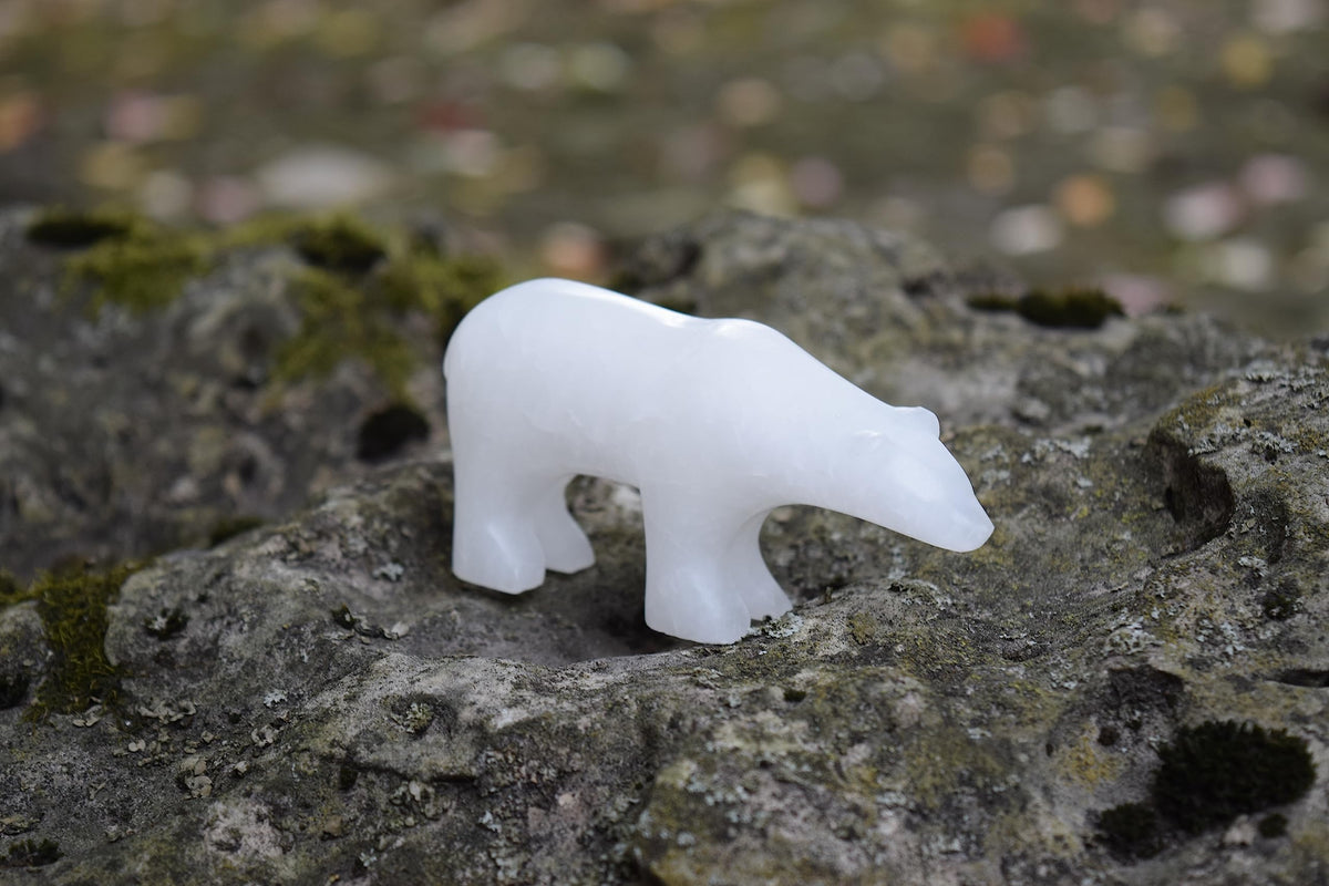 STUDIOSTONE CREATIVE DIY Arts & Crafts Carving Kit Kids Adults Polar Bear Alabaster Sculpture Soapstone