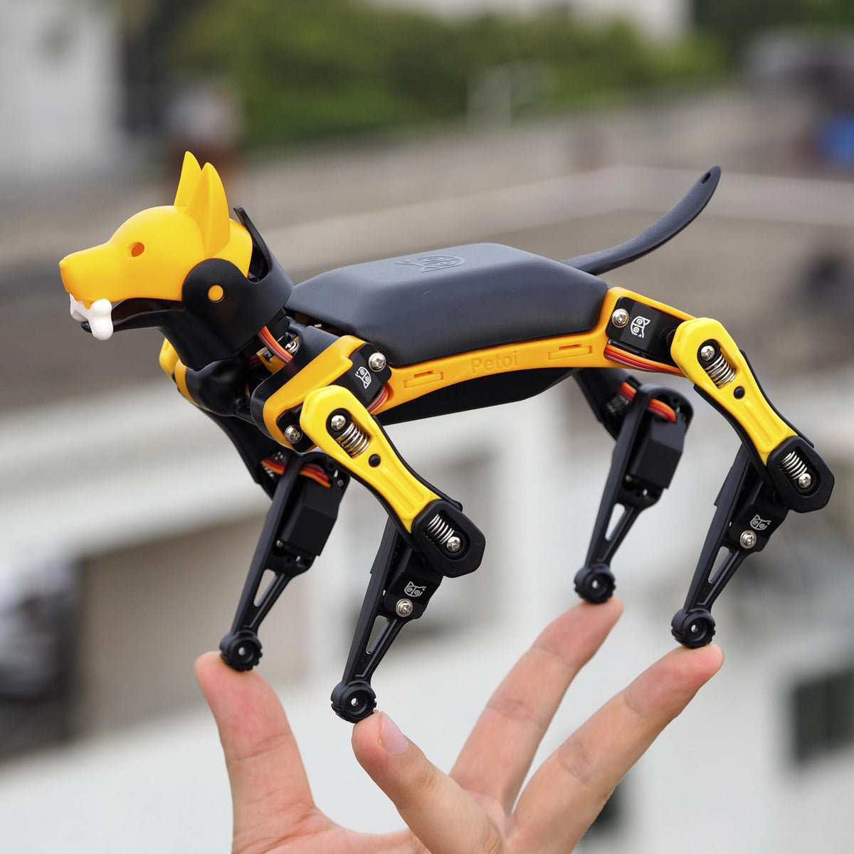 Petoi Programmable Robot Dog Bittle X V2 Lite Servo (Pre-Assembled) | Coding Smart Robot Dog Kit, Voice Controlled, Quadruped Interactive Robot for Kids, Open Source, STEM & Robotics Education