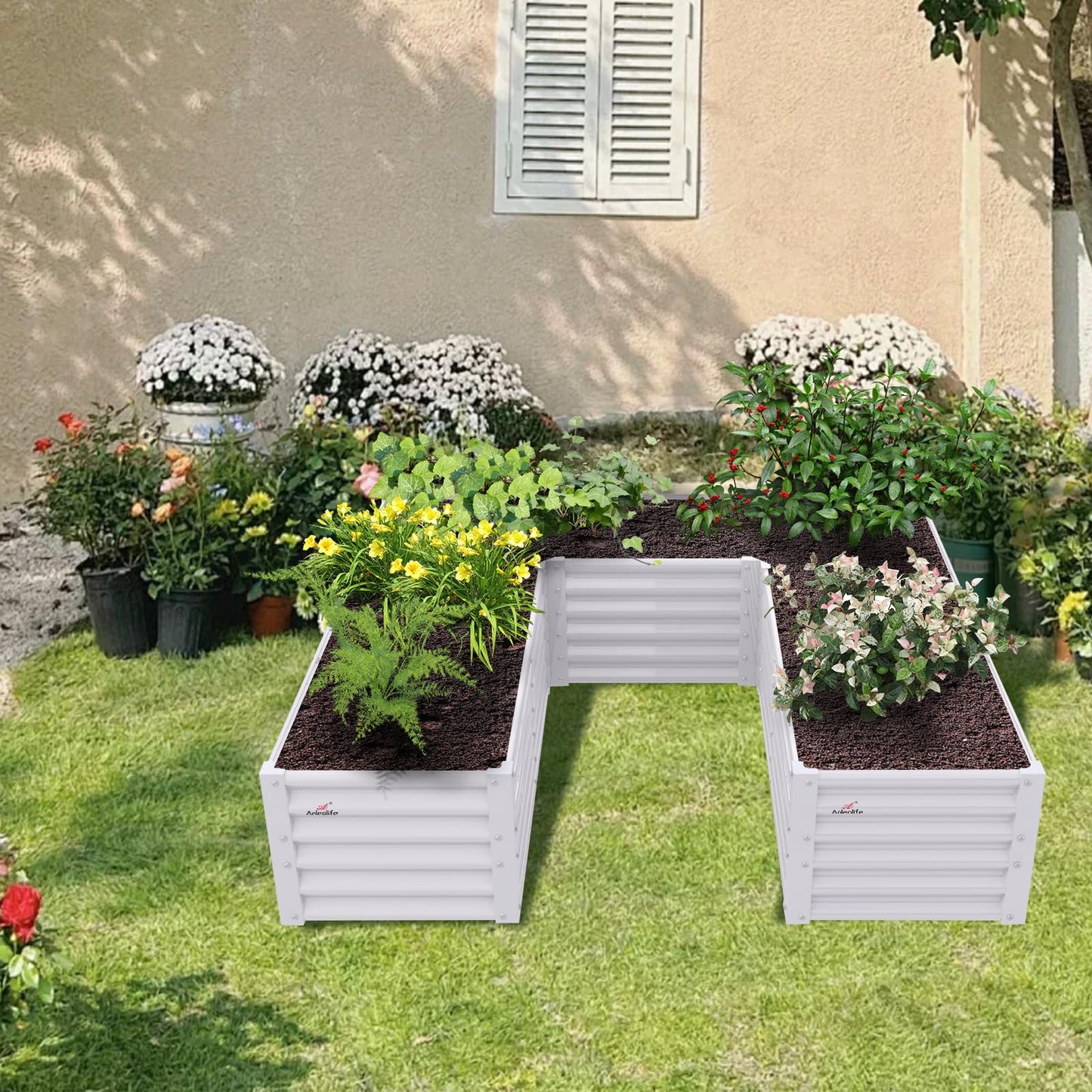 A ANLEOLIFE U-Shaped Outdoor Galvanized Raised Garden Bed, 6x6x1.5ft, Center-Access Bottomless Planter Box, 22-Gauge Corrugated Metal, Reinforced Bracing Rods, Antique White