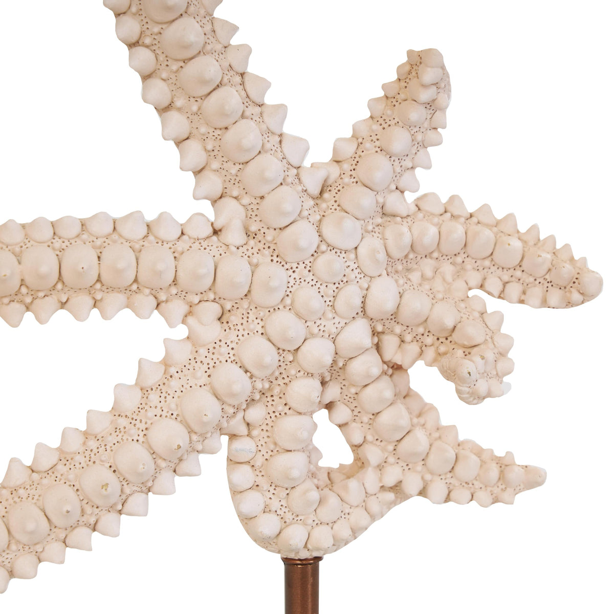 Deco 79 Polystone Starfish Decorative Sculpture Textured Home Decor Statue with Copper Stand, Accent Figurine 8" x 4" x 12", Pink