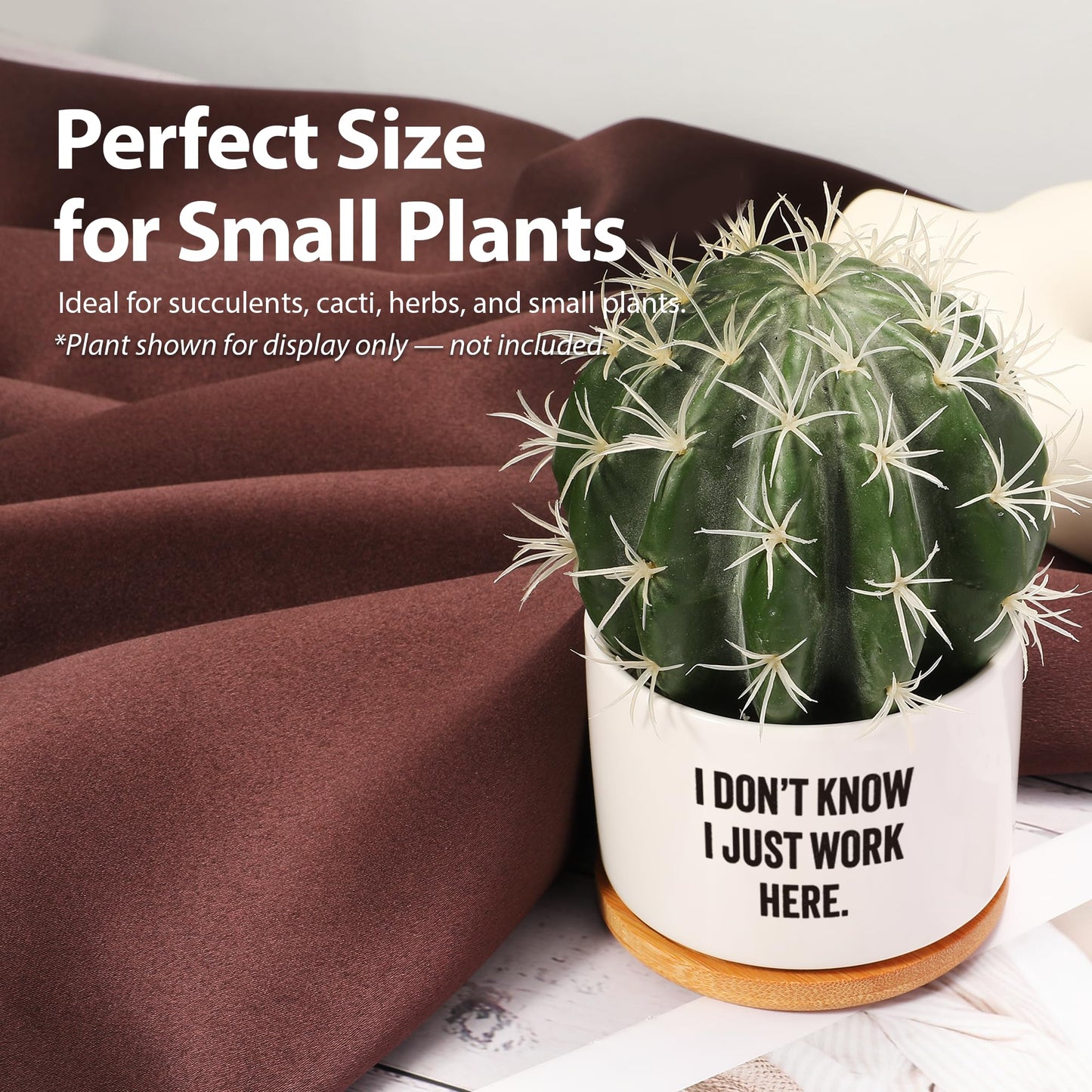I Don’t Know I Just Work Here Ceramic Succulent Plant Pot with Bamboo Tray Round Sarcastic Gifts for Coworkers Officemates Office Gifts Home Office Decor Plant Lover 3.5 Inch White (No Plants)