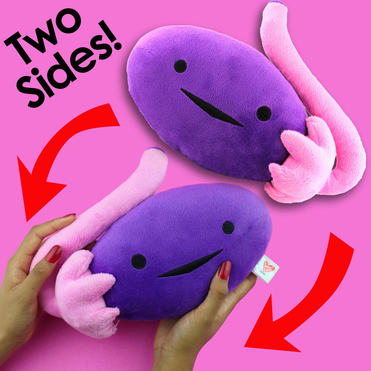 I Heart Guts - The Whole She-Bang Anatomy Bundle - Uterus Ovary Clitoris Vajayjay Placenta Female Anatomy OBGYN Medical Student Menstrual Education