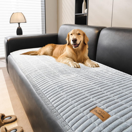 PJLZJFBY Couch Covers for Dogs, Velvet Dog Couch Cover, Pet Couchs Covers for Loveseat, Couchs Protector for Dogs, Sofa Cover for Pets Washable(1PC, Light Grey, 27.5"×70.8", 2-3 Seater)