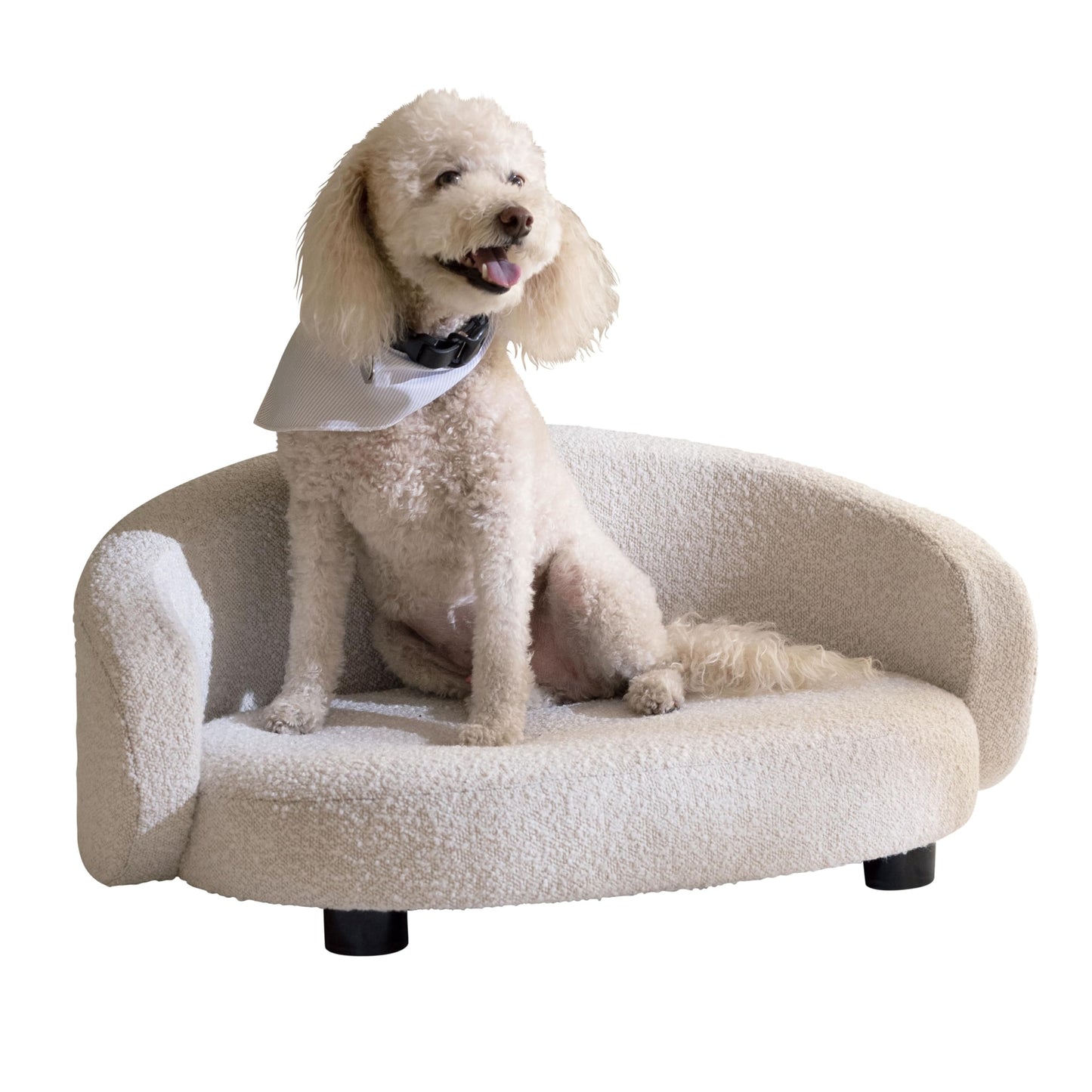 Paws & Purrs Arc Crescent Back Sofa Style Pet Bed, Dog & Cat Modern Couch with Tufted Cushion & Armrest, Stylish Indoor Pet Furniture, Boucle Ivory