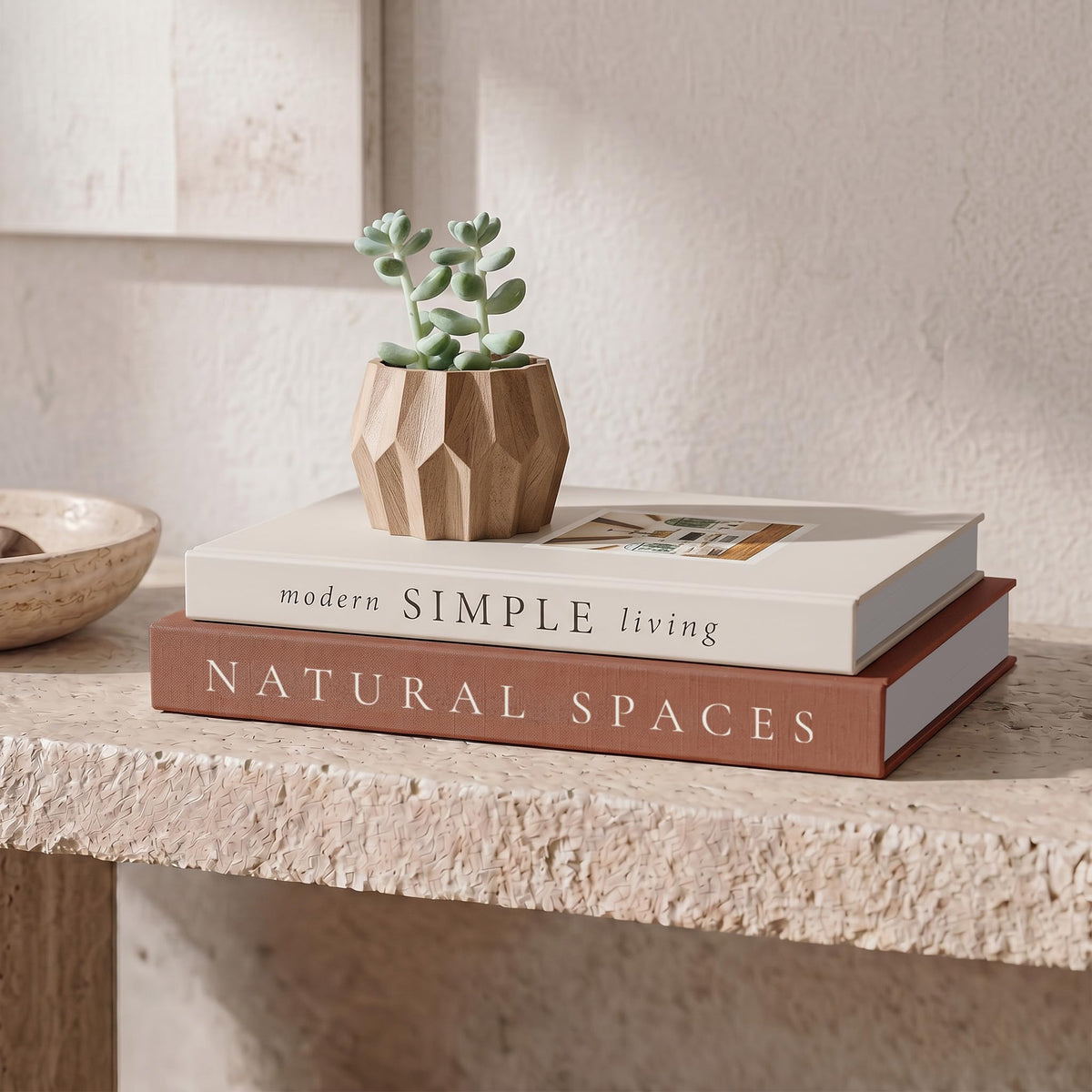 Beautiful Decorative Books - Set of 2 Boxes Enhance Your Coffee Table, Bookshelf or Mantel Shelf Decor - Aesthetic Fake/Faux Books for Modern Home Decoration, Photo Storage and as a Keepsake Box