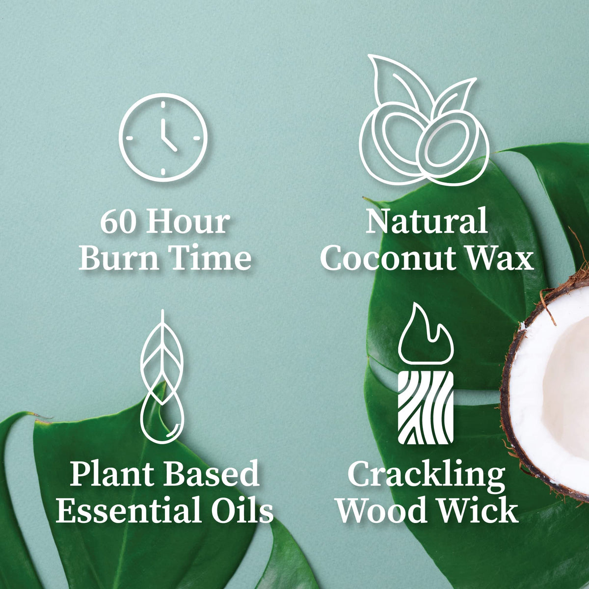 Hemlock Park Blood Orange Sage Apothecary Scented Candle | Crackling Wood Wick, Botanical Fragrance & Coconut Apricot Wax | Up to 60 Hour Burn Time | 8 oz | Made in USA