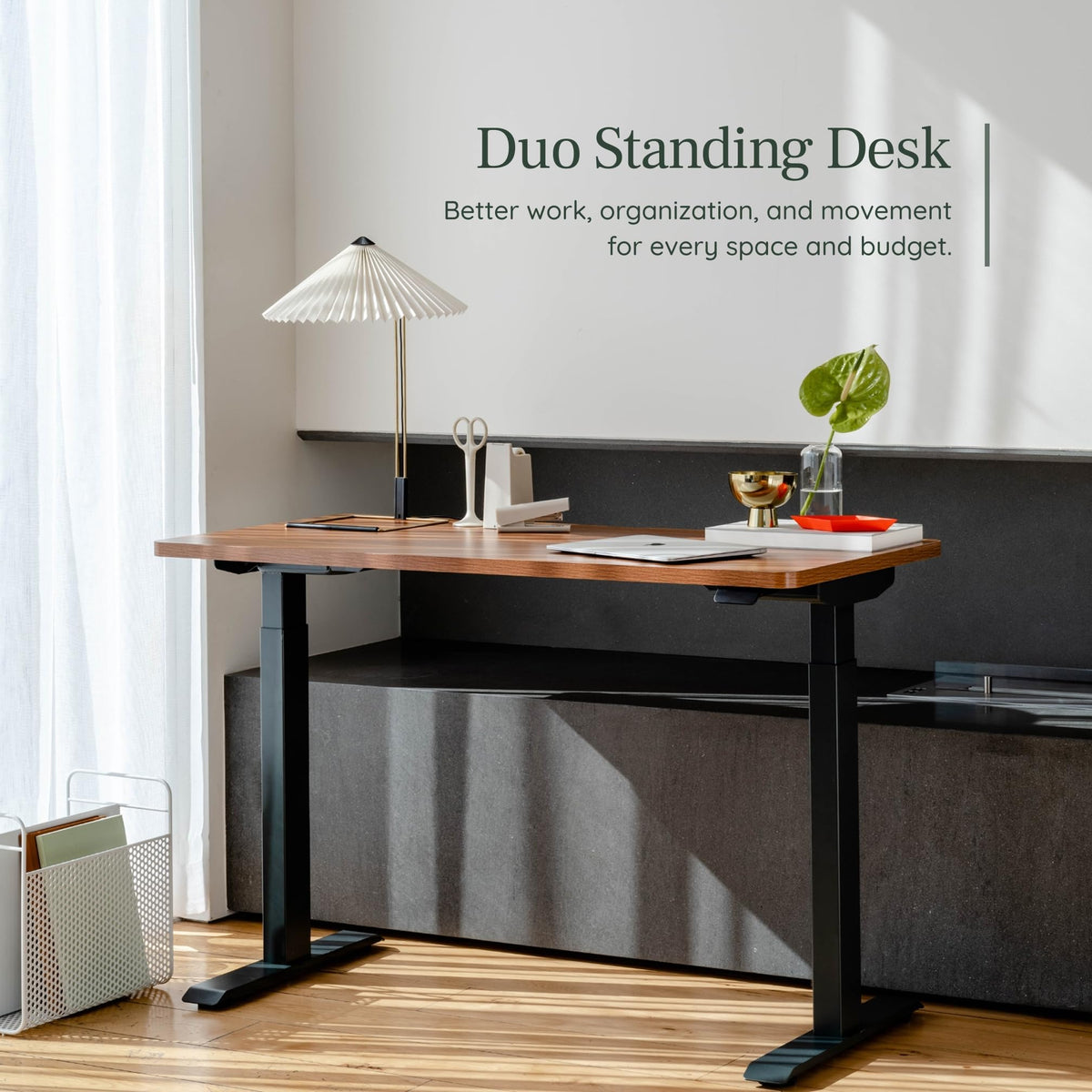 Branch Duo Standing Desk 36 Inches - Adjustable Standing Desk with 20” Range - OLED Control Panel - Frameless Design & Compact Size Suitable for Many Spaces - White Base - Walnut Top