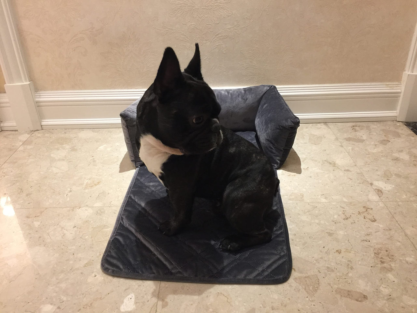 Brilliant Sunshine Premium Calming Dog Bed Mat, Silky Velvet, Removable Washable Cover, Cushion Protector and Couch Covers for Dogs, Pets, Cats, Small, Grey