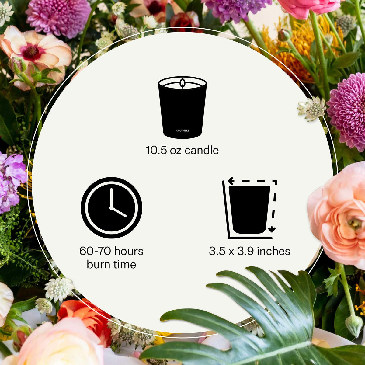 Apotheke Signature Scented Candles for Home, Verdant Garden - 10.5 oz - Soy Wax, Non Toxic, Large Jar White - Luxury Candle Gifts for Women & Men - Cedarwood, Jasmine, Fig, and Coconut