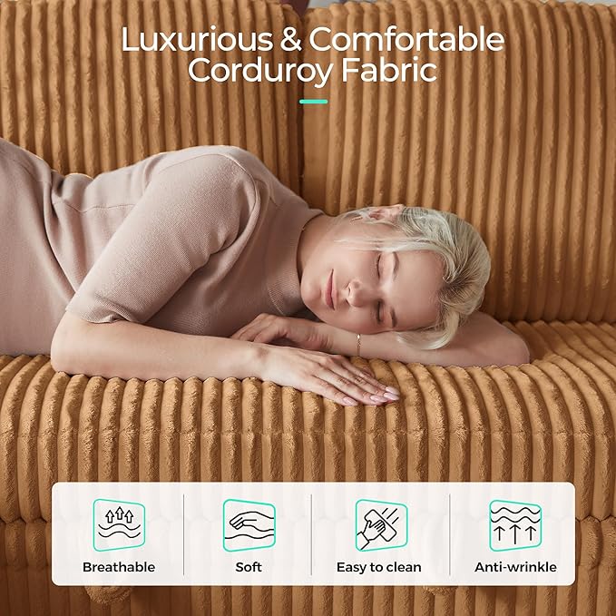LINSY HOME Sectional Sleeper Sofa Pull Out Couches