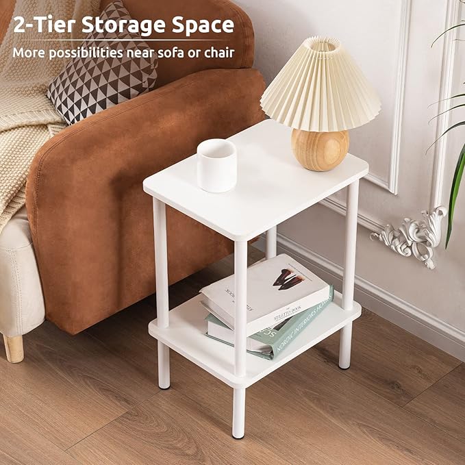 Apicizon 2 Tier End Table Set of 2, Small Side Table