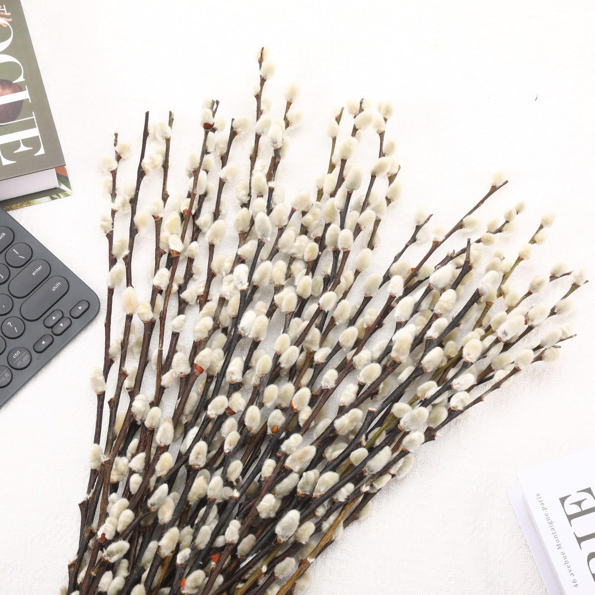 Natural Preserved Dried PussyWillow Branches for Vases, 30 Stems Real Willows, 17" Snow Pussywillows, Dried Flowers for Indoor and Outdoor Decor, Wedding Home DIY Floral Art Plants Fireplace