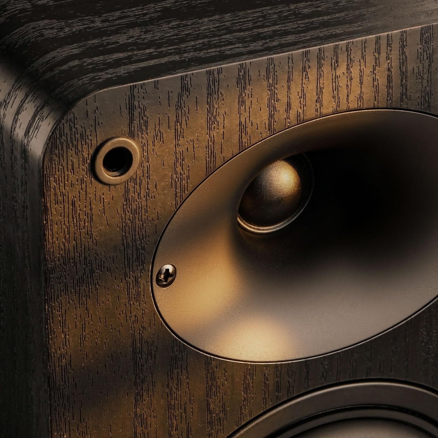 RIOWOIS Passive Bookshelf Speakers for Record Player, 80W Peak Power Stereo Speakers with Silk Dome Horn Tweeter, 4Ω and 4" Woofer for Home Theater Surround Sound, Receiver or Amplifier Required