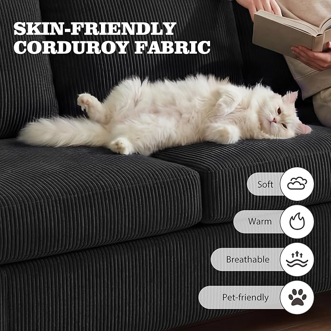 Apicizon 63" Loveseat Sofa Couch, Cloud Couch Lounge Sofa